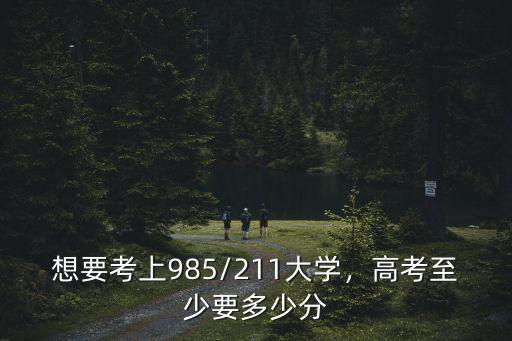 河南省每年考上985.211的有多少人,想要考上985/211大學