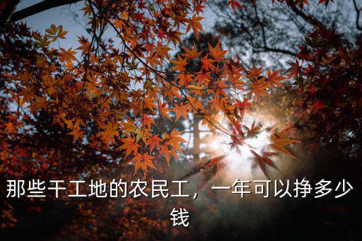 唐山農民工工資多少錢一個月,農民工工資一個月多少錢