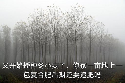 又開始播種冬小麥了，你家一畝地上一包復合肥后期還要追肥嗎