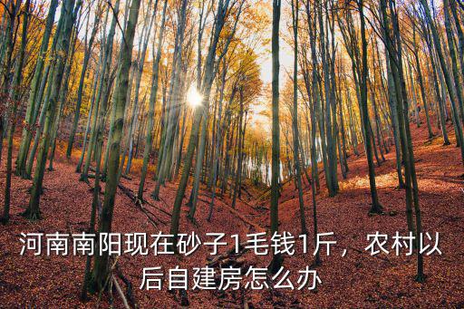 河南南陽農村蓋房多少錢,河南南陽現在砂子1毛錢1斤