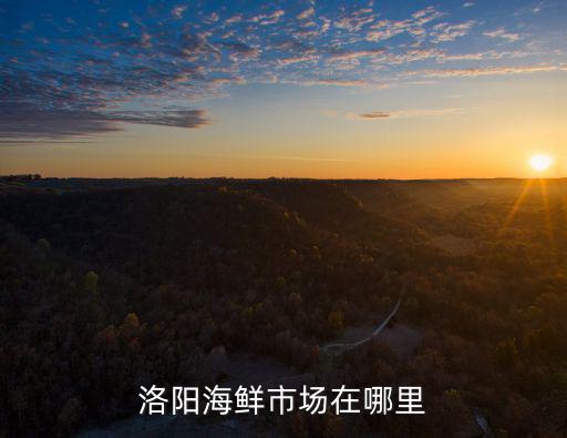 洛陽市廣州市場怎么改造,洛陽海鮮市場在哪里