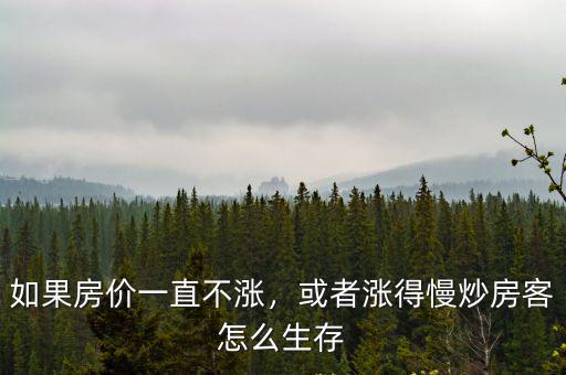 恩施房價一直漲工資不漲怎么辦,如果房價一直不漲