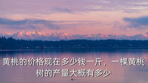 黃桃的價格現(xiàn)在多少錢一斤，一棵黃桃樹的產量大概有多少