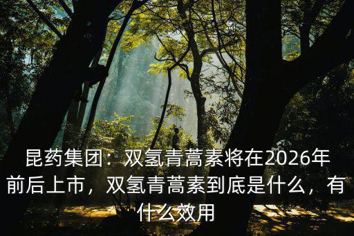昆藥集團(tuán)：雙氫青蒿素將在2026年前后上市，雙氫青蒿素到底是什么，有什么效用