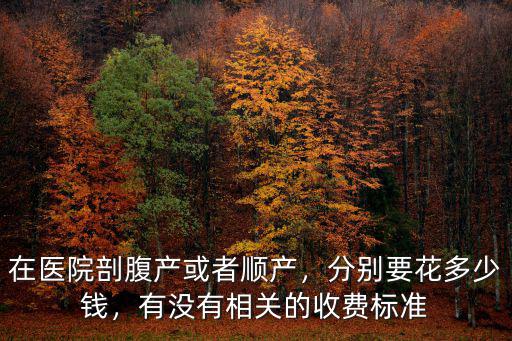 在醫(yī)院剖腹產(chǎn)或者順產(chǎn)，分別要花多少錢，有沒有相關(guān)的收費(fèi)標(biāo)準(zhǔn)