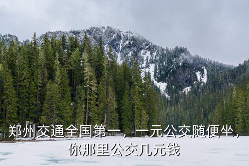 鄭州交通全國第一，一元公交隨便坐，你那里公交幾元錢