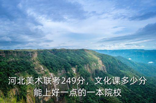 河北美術學院表演多少分,河北美術聯考249分