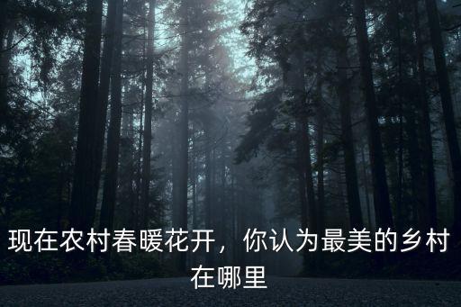 成都現(xiàn)在哪里開花好看,成都櫻花哪兒最好看