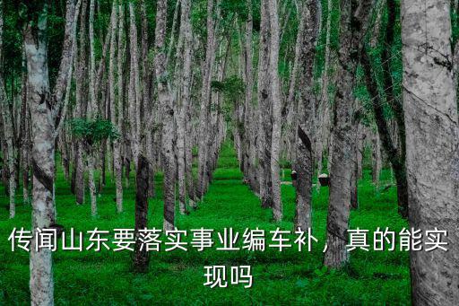 河南事業(yè)編哪里有車補(bǔ),傳聞山東要落實(shí)事業(yè)編車補(bǔ)