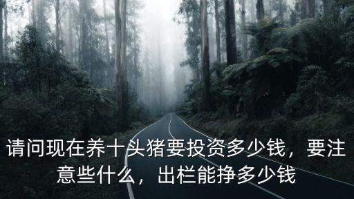 阜陽養豬投資多少錢,現在養豬需要投資多少錢