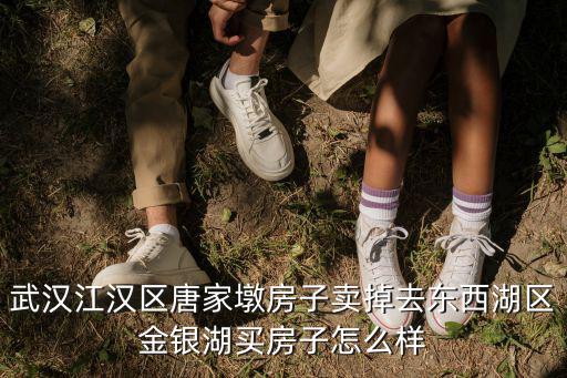 武漢江漢區(qū)唐家墩房子賣掉去東西湖區(qū)金銀湖買房子怎么樣