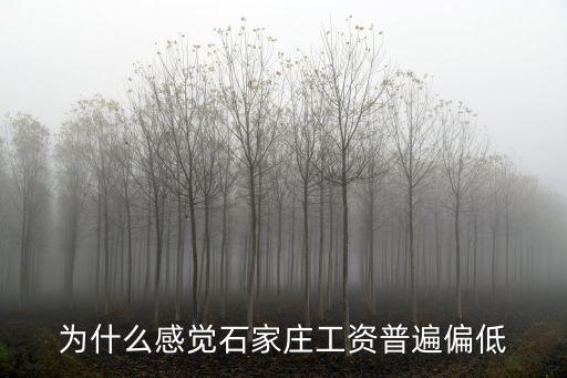 為什么感覺石家莊工資普遍偏低