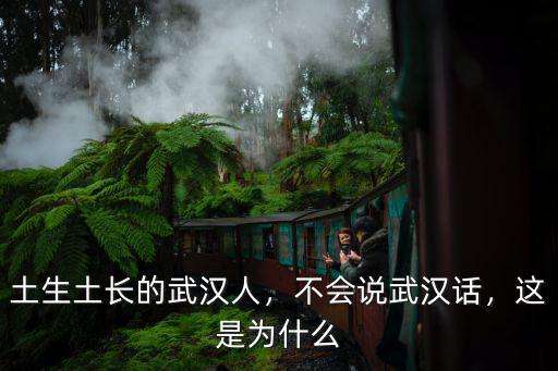 悄悄的武漢話怎么說,不會說武漢話