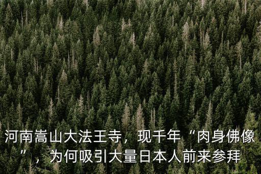 河南嵩山大法王寺，現千年“肉身佛像”，為何吸引大量日本人前來參拜