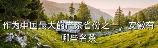 作為中國最大的產茶省份之一，安徽有哪些名茶