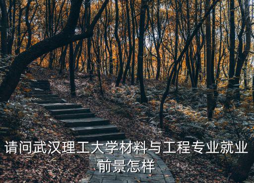天津大學(xué)和武漢理工大學(xué) 材料就業(yè)怎么樣,武漢理工大學(xué)