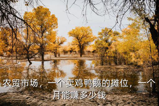 邢臺菜市場攤位一個月多少錢,一個月能賺多少錢