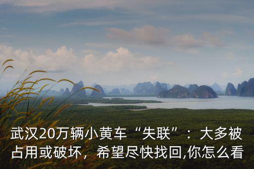武漢20萬輛小黃車“失聯”：大多被占用或破壞，希望盡快找回,你怎么看