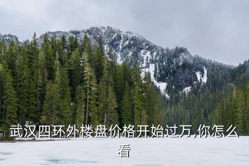 武漢四環(huán)外樓盤價格開始過萬,你怎么看