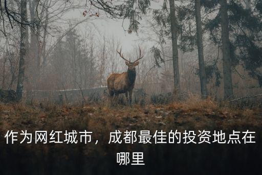 成都市網(wǎng)紅橋在哪里,在成都市區(qū)內(nèi)