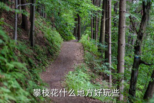 攀枝花什么地方好玩些