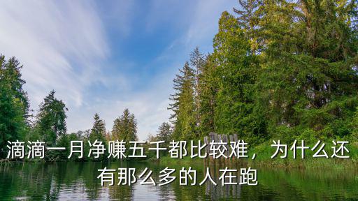 在河北定州跑滴滴一個月能掙多少錢,一個月能賺多少錢