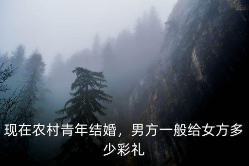 現(xiàn)在農(nóng)村青年結(jié)婚，男方一般給女方多少彩禮