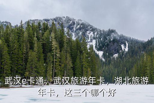 武漢e卡通，武漢旅游年卡，湖北旅游年卡，這三個哪個好