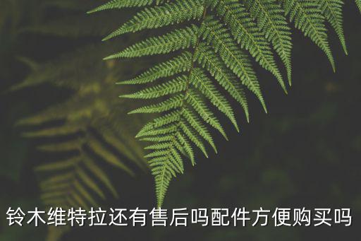 廣元哪里可以保養(yǎng)鈴木維特拉,維特拉的保養(yǎng)貴嗎