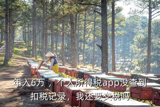 湖北個稅app怎么查交稅記錄,個人所得稅記錄怎么查