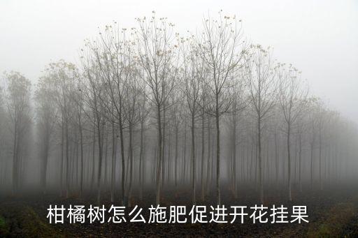 每株柑橘樹(shù)幼樹(shù)用多少?gòu)?fù)合肥,復(fù)合肥可以用于桔子幼樹(shù)嗎