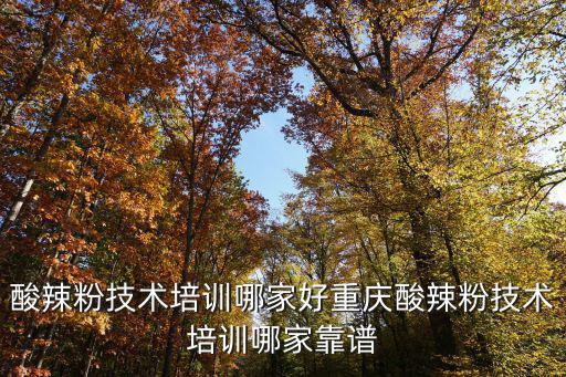 瀘州酸辣粉哪里培訓(xùn),酸辣粉技術(shù)培訓(xùn)哪家好