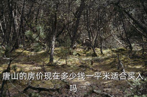 唐山路南區60平學區房賣多少錢,唐山的房價現在多少錢一平米