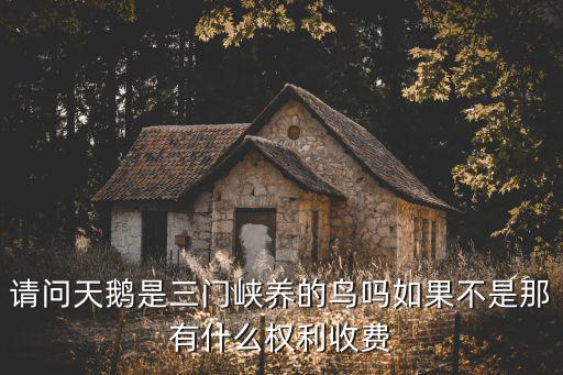請問天鵝是三門峽養的鳥嗎如果不是那有什么權利收費