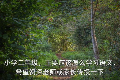 宜昌小學語文應該怎么學習,主要應該怎么學習語文
