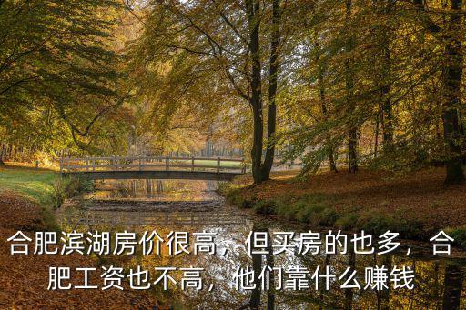 合肥濱湖房?jī)r(jià)很高，但買房的也多，合肥工資也不高，他們靠什么賺錢