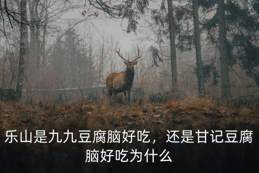 樂山豆腐腦哪里,樂山是九九豆腐腦好吃