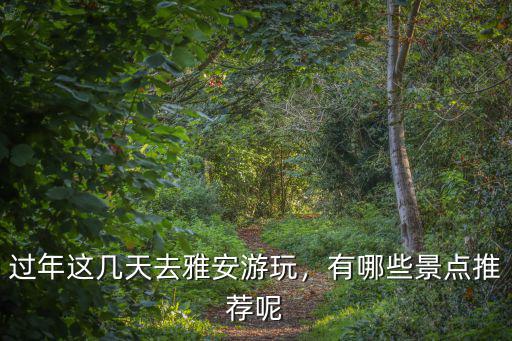 雅安過(guò)年去哪里好玩,過(guò)年這幾天去雅安游玩
