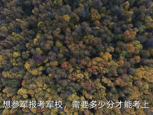 想參軍報考軍校，需要多少分才能考上