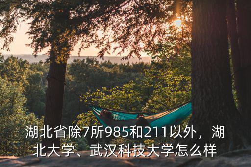 湖北省除7所985和211以外，湖北大學(xué)、武漢科技大學(xué)怎么樣
