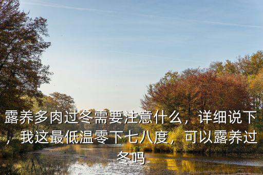 湖北多肉在樓頂怎么過冬,多肉在樓頂露養(yǎng)