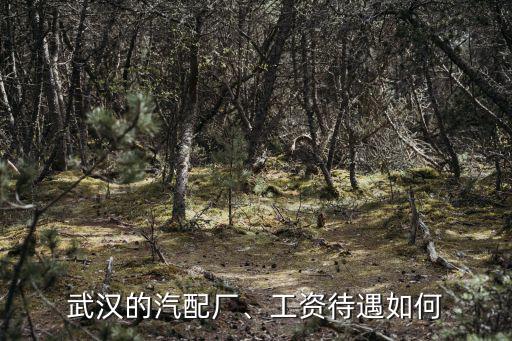 武漢斯彼德汽配廠怎么樣,武漢東風(fēng)汽配廠待遇怎么樣