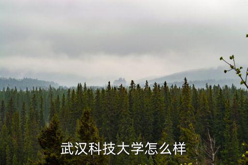 武漢科技大學(xué)怎么樣