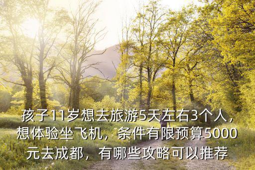 成都哪里可以坐體驗飛機玩,想體驗坐飛機
