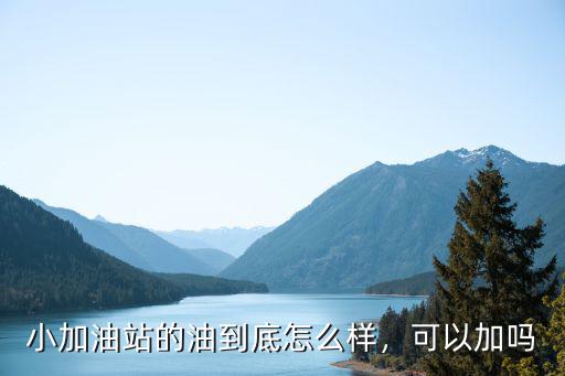 隨州市開源石化加油站油質(zhì)怎么樣,小加油站的油到底怎么樣