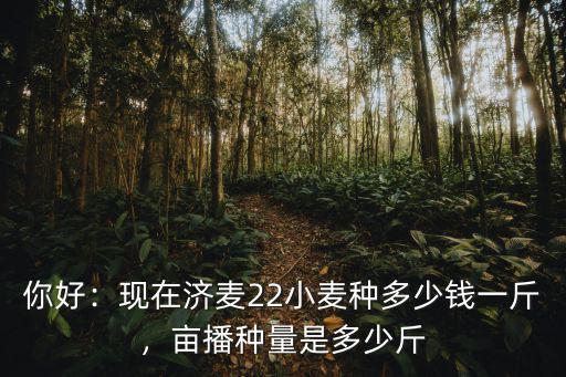 黃河北麥種一畝播多少,一畝地播50斤麥種靠譜嗎