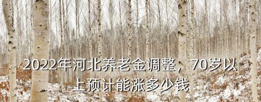 每月份河北養老金多少,河北養老金上調多少