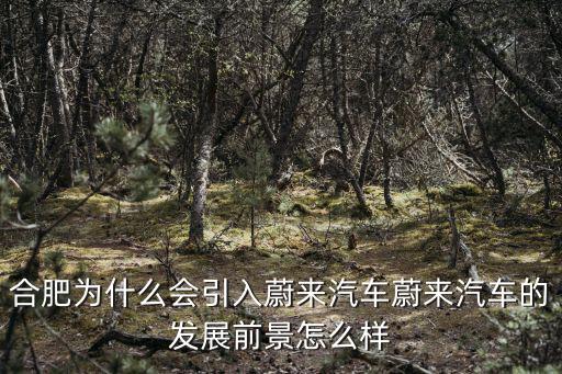合肥為什么會引入蔚來汽車蔚來汽車的發展前景怎么樣