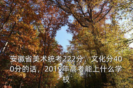 2020年安徽美術省統考300分有多少,2019年高考能上什么學校