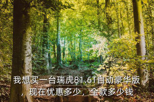 我想買一臺瑞虎81.6T自動豪華版，現在優惠多少，全款多少錢